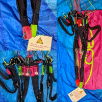 BGD Magic with Harness
