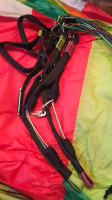 BGD Magic with Harness