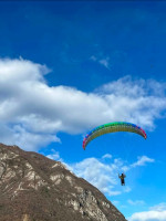 BGD Magic with Harness