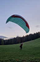 GIN Gliders Bolero 7, XS, 2023, (65-90kg), 40h