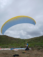 Advance Alpha 4, 25, 2013, (65-88kg), 150h