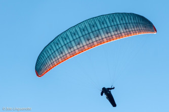 Nova Mentor 6, XS, 2019, (70-90kg), 70h