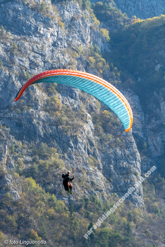 Nova Mentor 6, XS, 2019, (70-90kg), 70h - Image 2