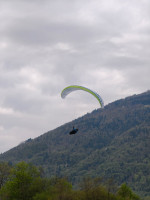 Swing Verso RS, ML, 2023, (95-120kg), 30h