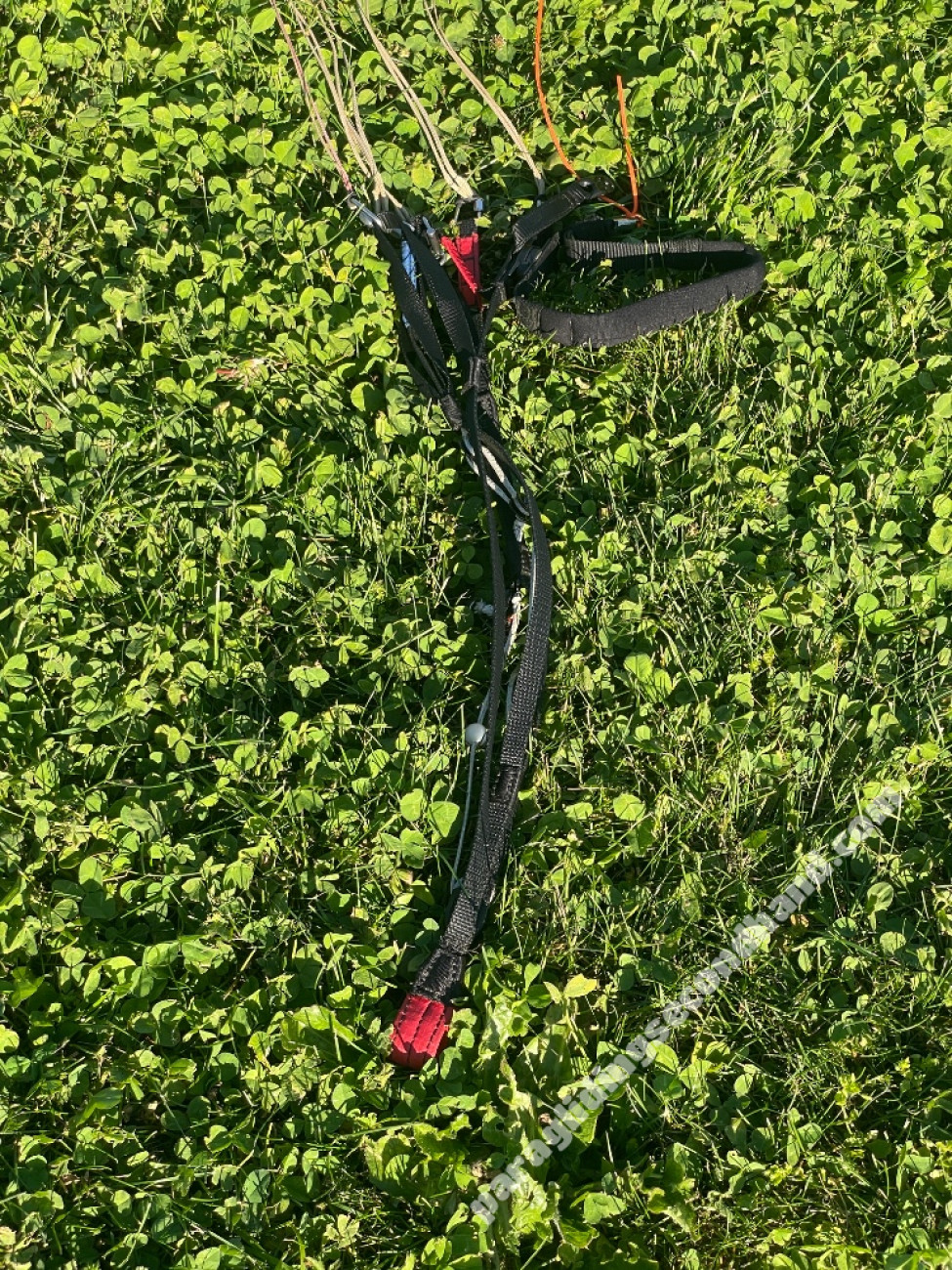Swing Helios, S, 2020, (80-95kg), 50h - Image 8