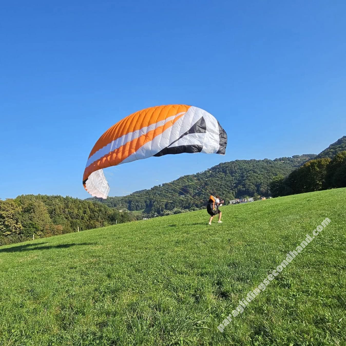 Apco Karisma, M, 2017, (80-100kg), 50h - Afbeelding 2