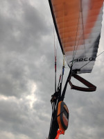 Apco Karisma, M, 2017, (80-100kg), 50h