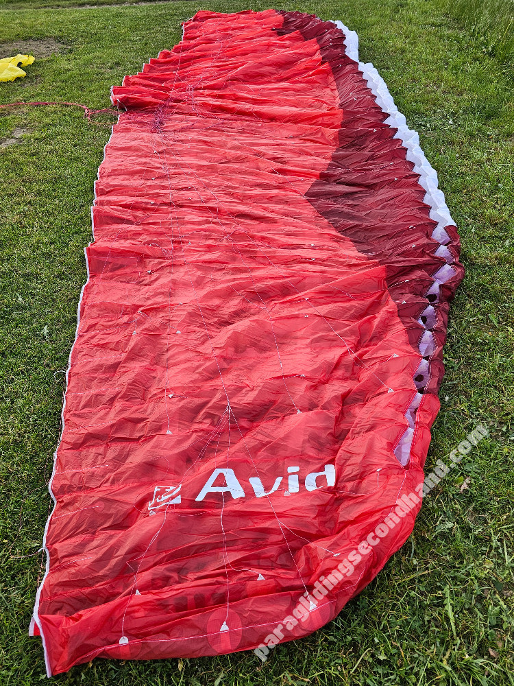 GIN Gliders Avid, S, 2025, (75-95kg), 5h - Immagine 5