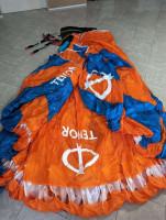 Phi Tenor, 17, 2019, (55-75kg), 20h