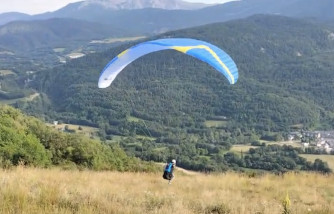 Davinci Gliders Hula, 25, 2021, (75-95kg), 30h