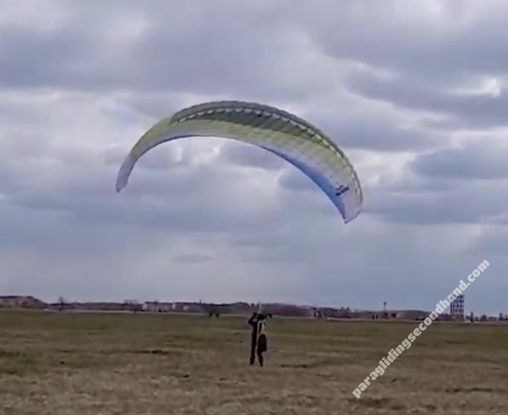 Papillon Raqoon, S, 2021, (60-95kg), 25h - Изображение 3