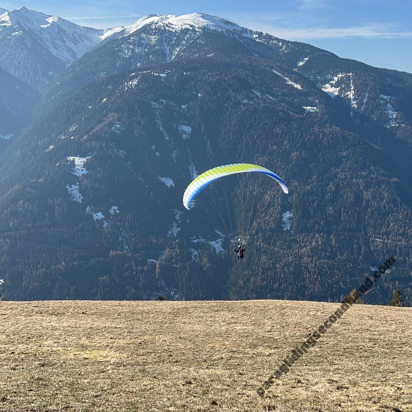 Papillon Raqoon, S, 2021, (60-95kg), 25h - Изображение 5