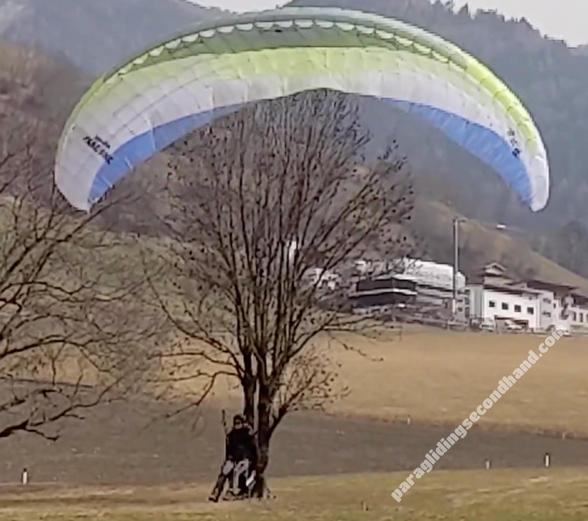 Papillon Raqoon, S, 2021, (60-95kg), 25h - Изображение 2