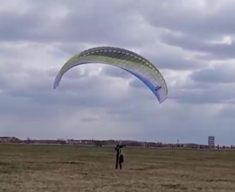 Papillon Raqoon, S, 2021, (60-95kg), 25h