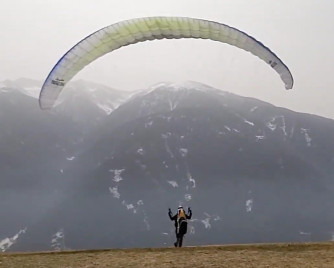 Papillon Raqoon, S, 2021, (60-95kg), 25h