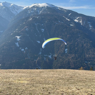 Papillon Raqoon, S, 2021, (60-95kg), 25h