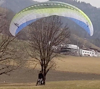 Papillon Raqoon, S, 2021, (60-95kg), 25h