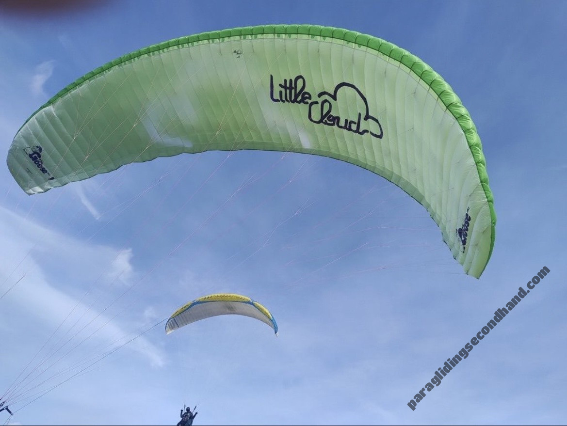 Little Cloud Goose, 16, 2021, (60-100kg), 30h