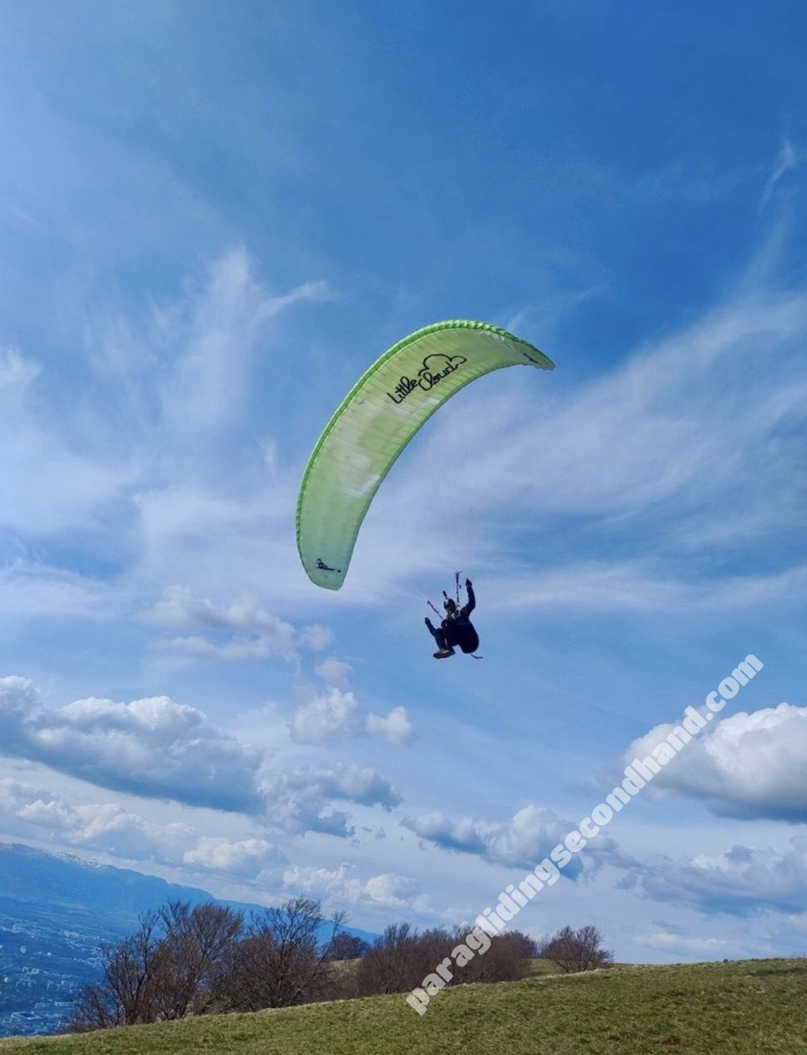 Little Cloud Goose, 16, 2021, (60-100kg), 30h - 图片 5