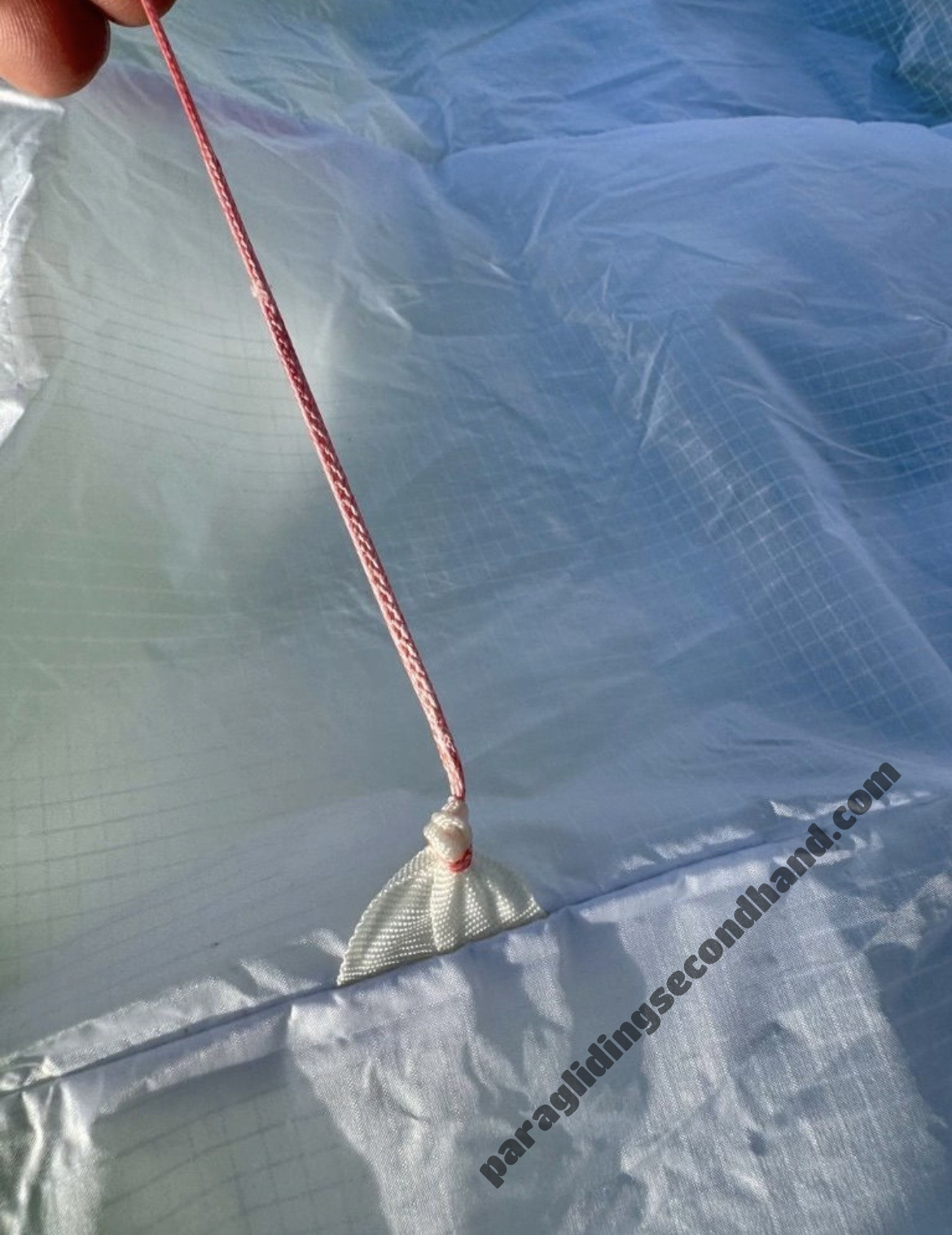 Little Cloud Goose, 16, 2021, (60-100kg), 30h - 图片 2