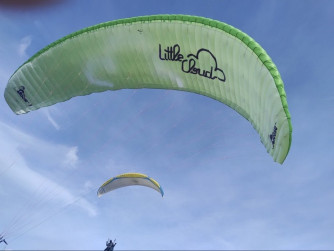 Little Cloud Goose, 16, 2021, (60-100kg), 30h