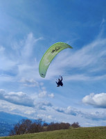Little Cloud Goose, 16, 2021, (60-100kg), 30h