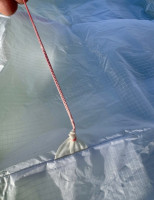 Little Cloud Goose, 16, 2021, (60-100kg), 30h