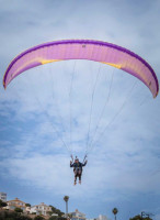 Davinci Gliders Classic 2, XS, 2024, (60-85kg), 13h