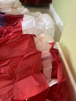Gin Light Paragliding Set (55-75 kg) - For Sale