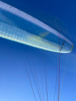 Swing Stellar RS, S, 2024, (65-85kg), 90h