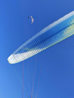 Swing Stellar RS, S, 2024, (65-85kg), 90h