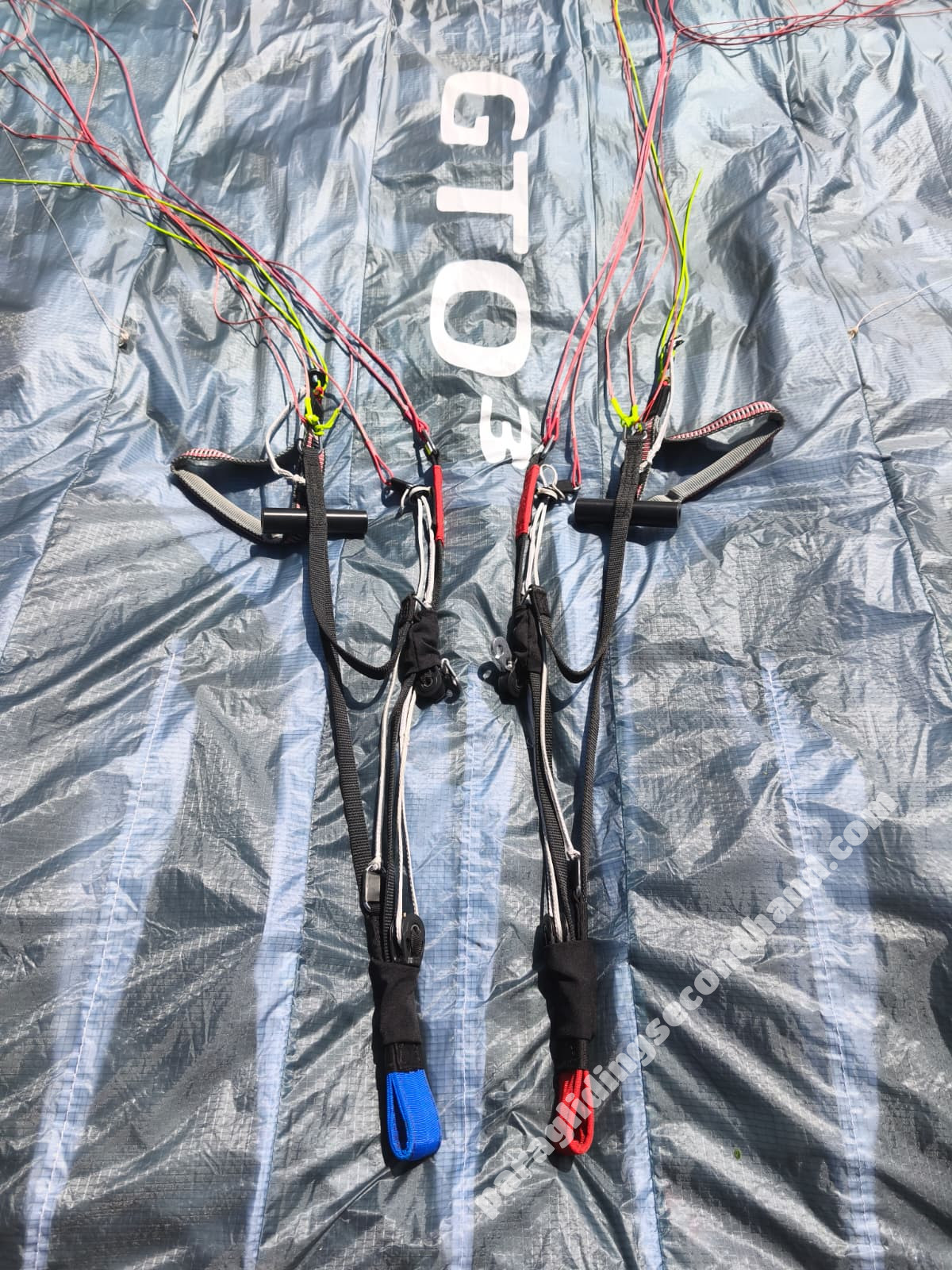 GIN Gliders GTO 3, M, 2026, (90-105kg), 35h - Bild 4