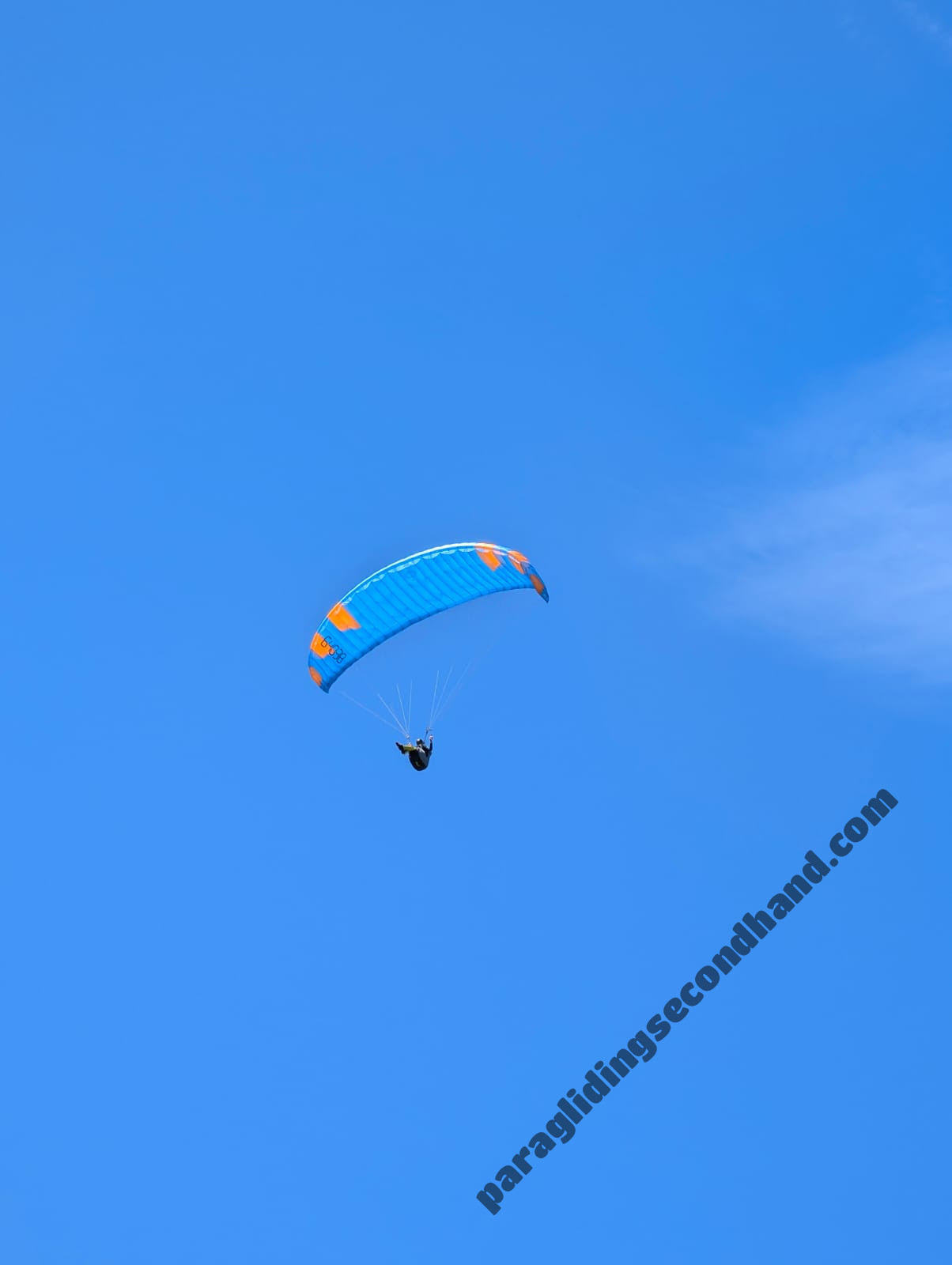 Phi Sola, 22, 2022, (75-95kg), 0h - Afbeelding 3