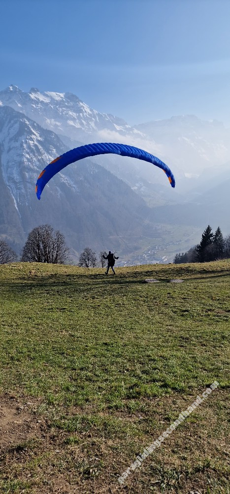 Phi Sola, 22, 2022, (75-95kg), 0h - Afbeelding 5