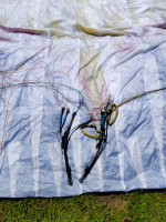 Ozone Rush 5, L, 2019, (95-115kg), 60h