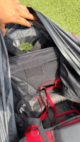 GIN Gliders Genie Race 5, M, 2024