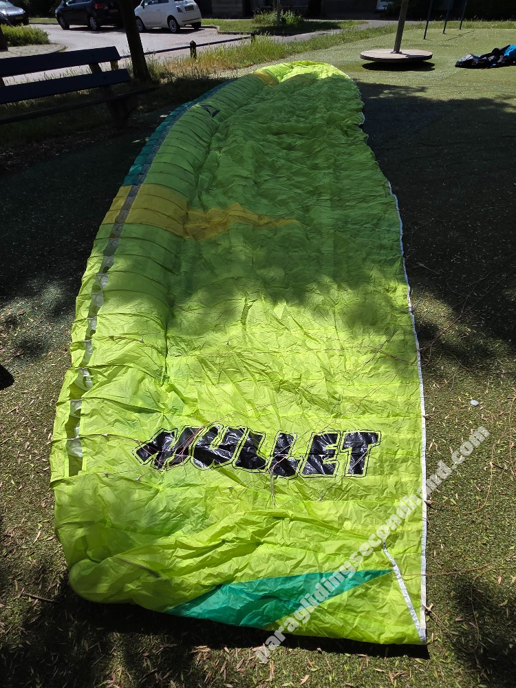 Flow Mullet, 17, 2024, (50-120kg), 69h - Image 2