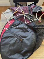 Nova Montis, L