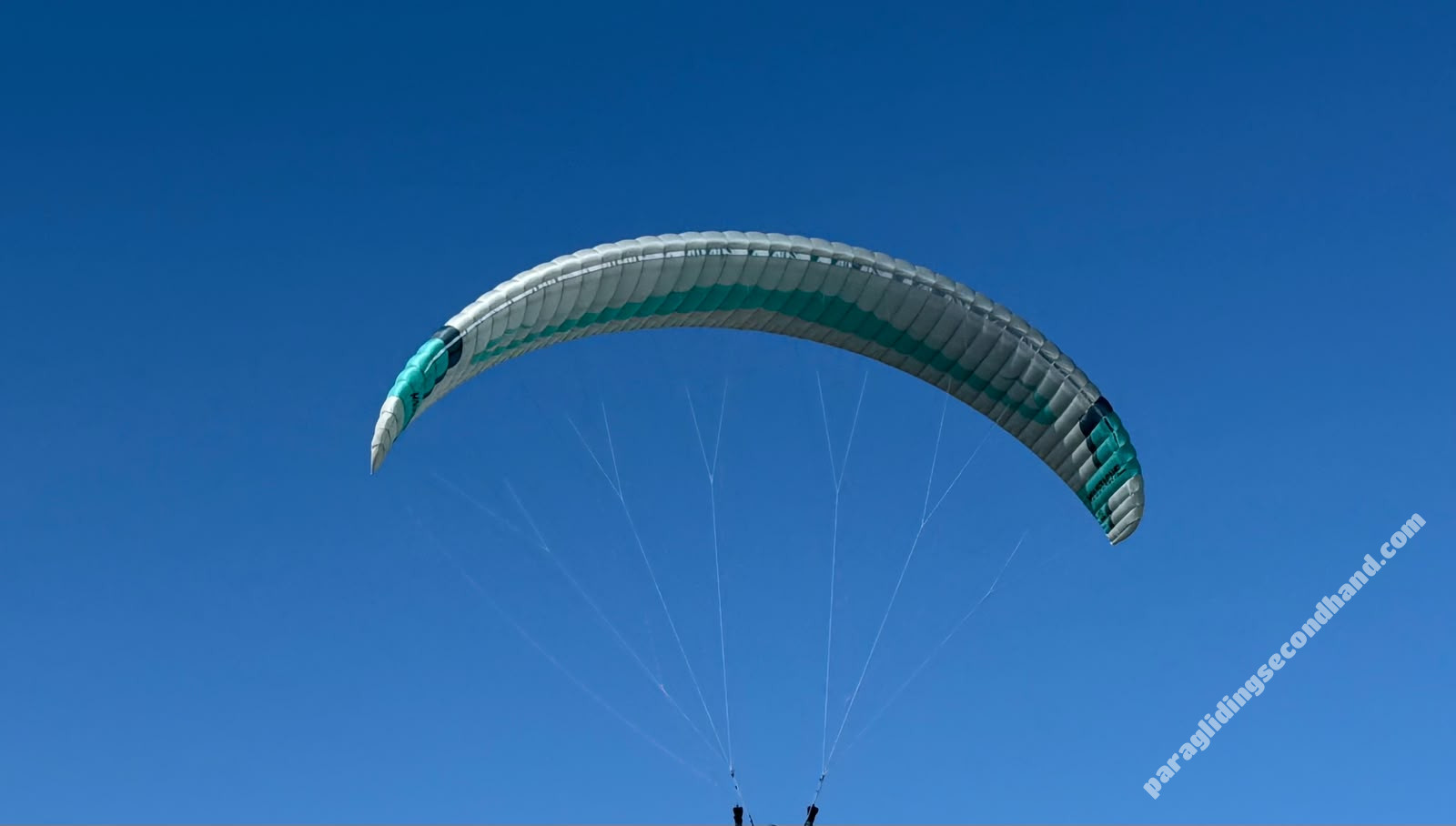 Flare Moustache2, 22, 2024, (0-0kg), 30h