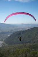 Niviuk Hook 6, 20, 2023, (55-70kg), 30h