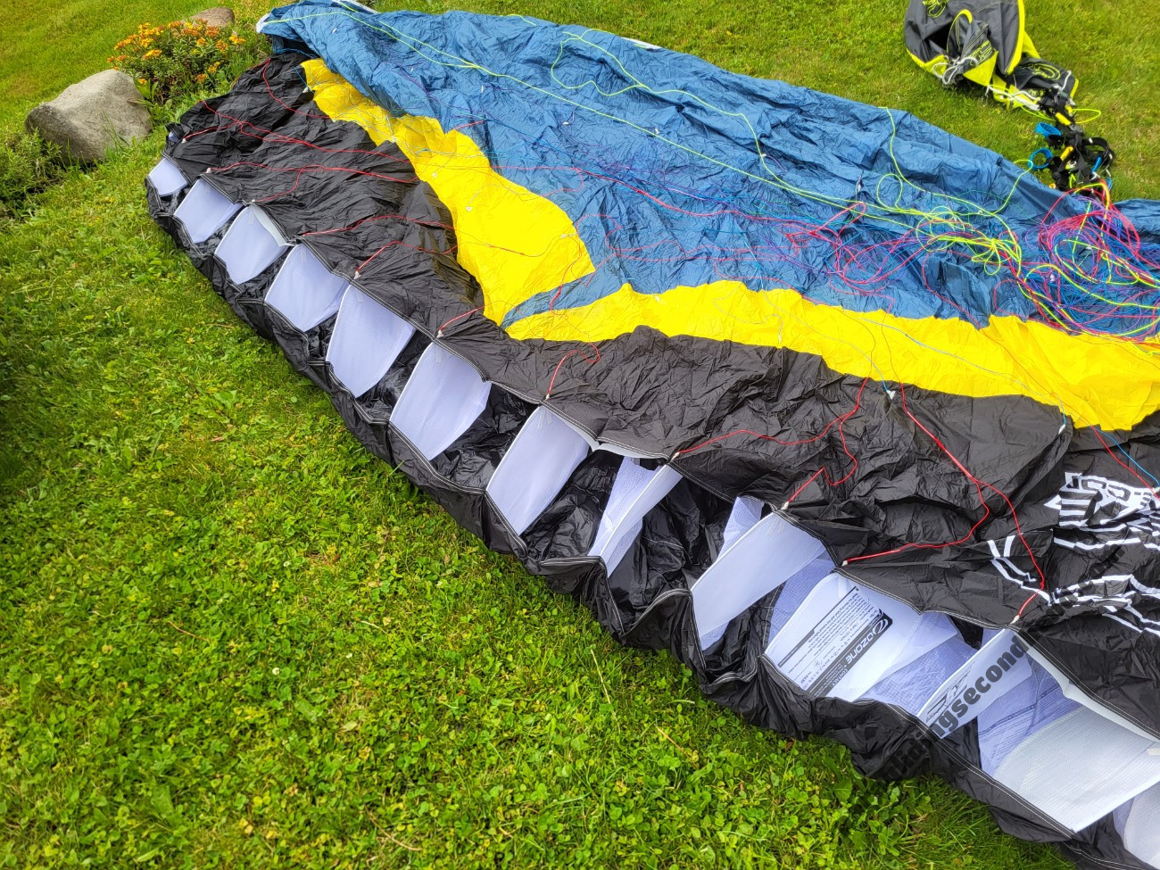 Ozone Dragonfly, 18, 2020, (50-120kg), 10h - Image 9