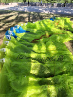 Ozone Ultralite 5, 19, 2024, (55-95kg), 15h