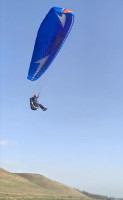 Swing Mito, L, 2018, (85-110kg), 35h