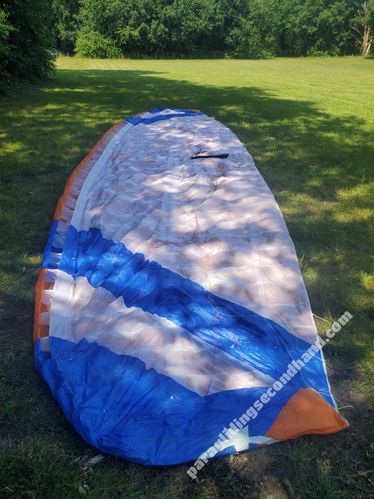 Phi Viola, 20, 2019, (65-100kg), 80h - Bild 3