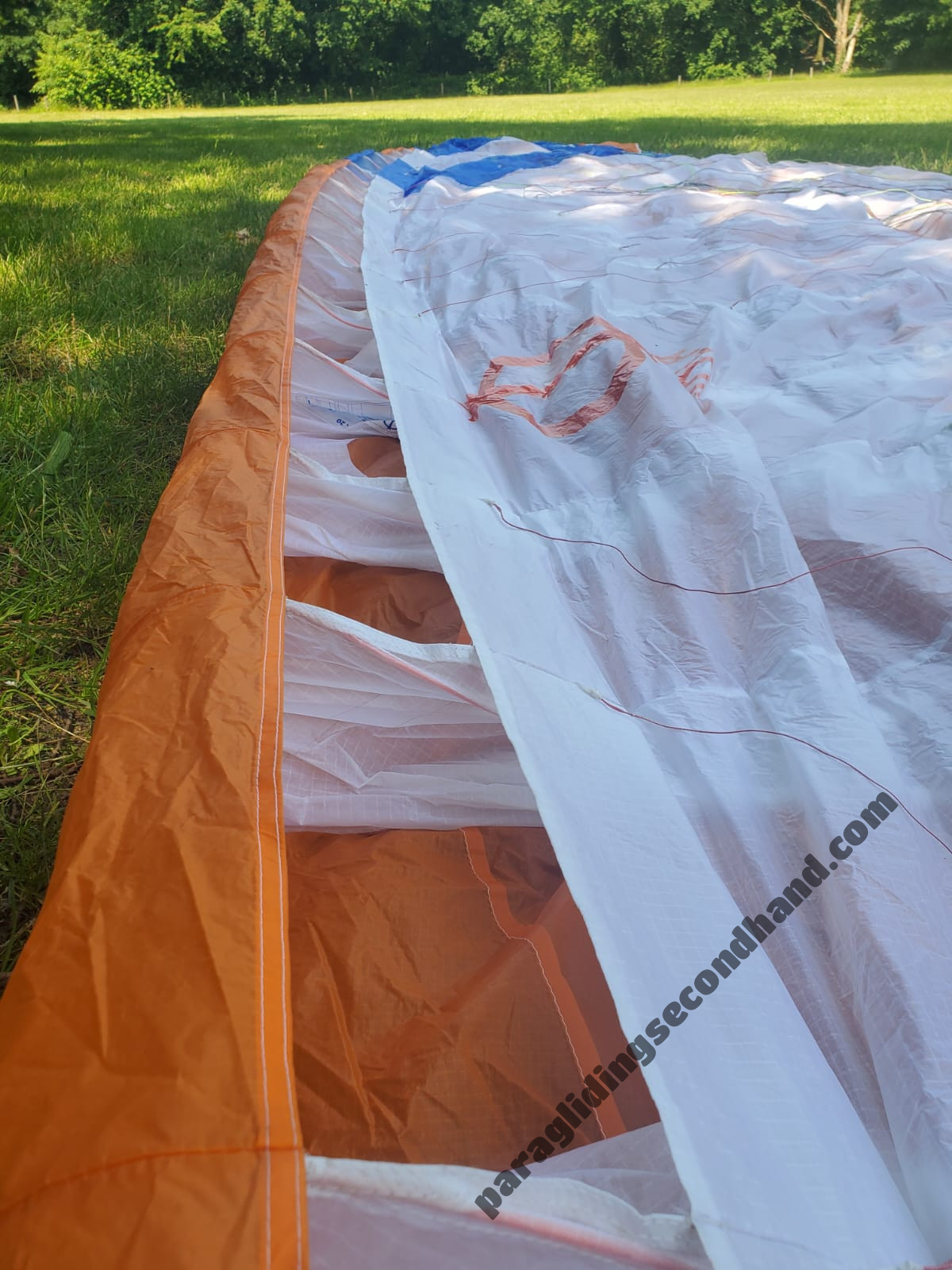 Phi Viola, 20, 2019, (65-100kg), 80h - Bild 4
