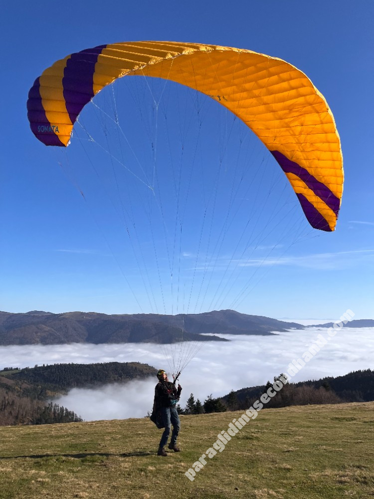 Phi Sonata, 20, 2018, (65-85kg), 85h