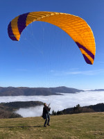 Phi Sonata, 20, 2018, (65-85kg), 85h
