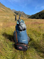 Woody Valley Wani 2 light, M, 2020