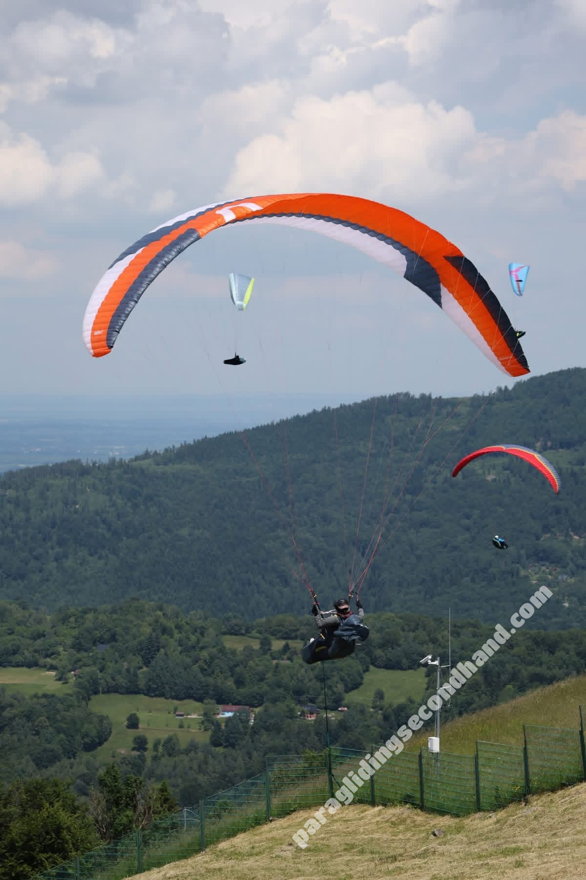 Skywalk Mint, 75, 2023, (55-75kg), 80h