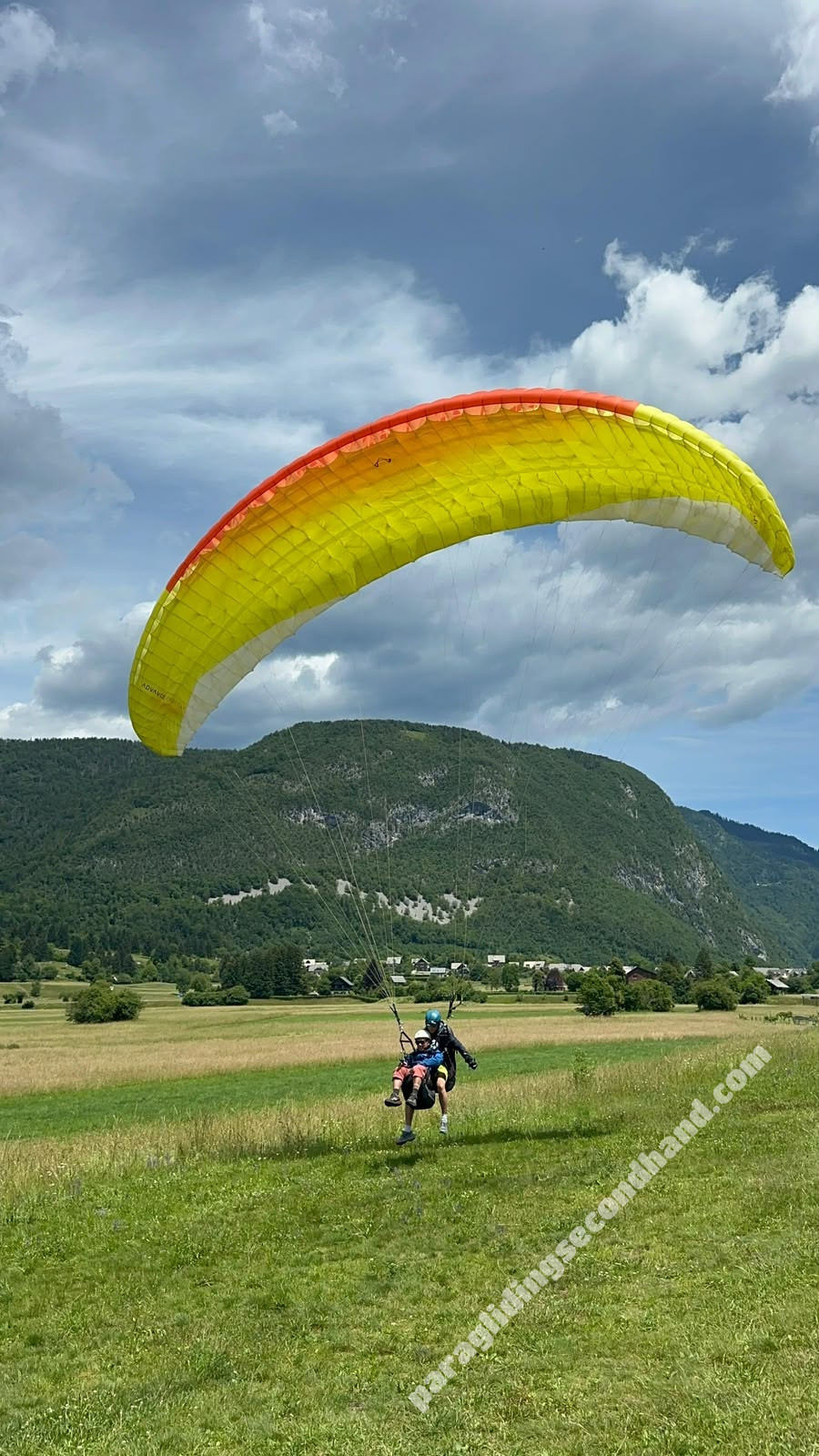 Advance Bibeta 6, 41, 2022, (120-225kg), 250h